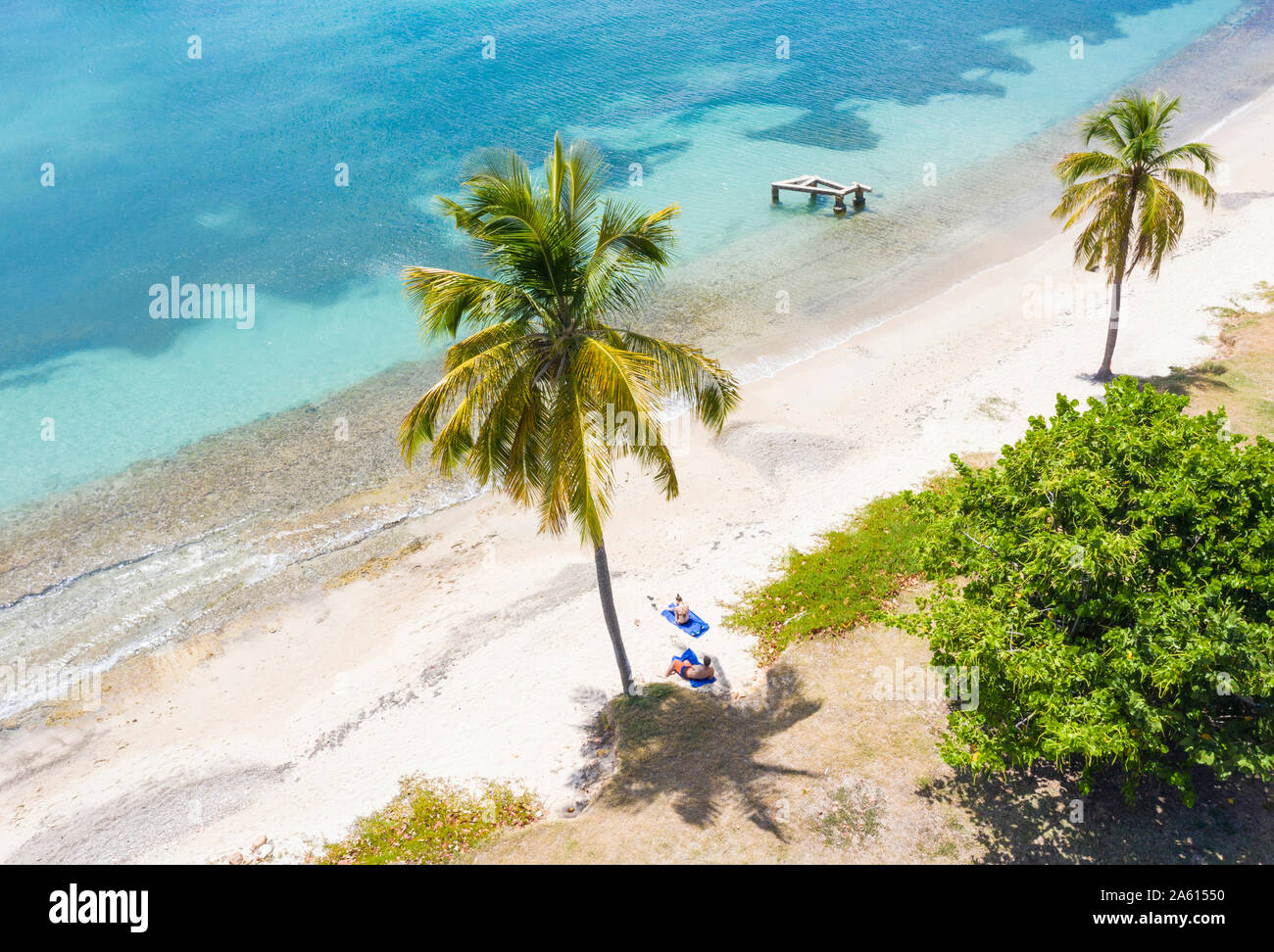L uomo e la donna in relax sulla spiaggia orlata di palme, vista aerea da fuco, Mar dei Caraibi, Antille, West Indies, dei Caraibi e America centrale Foto Stock