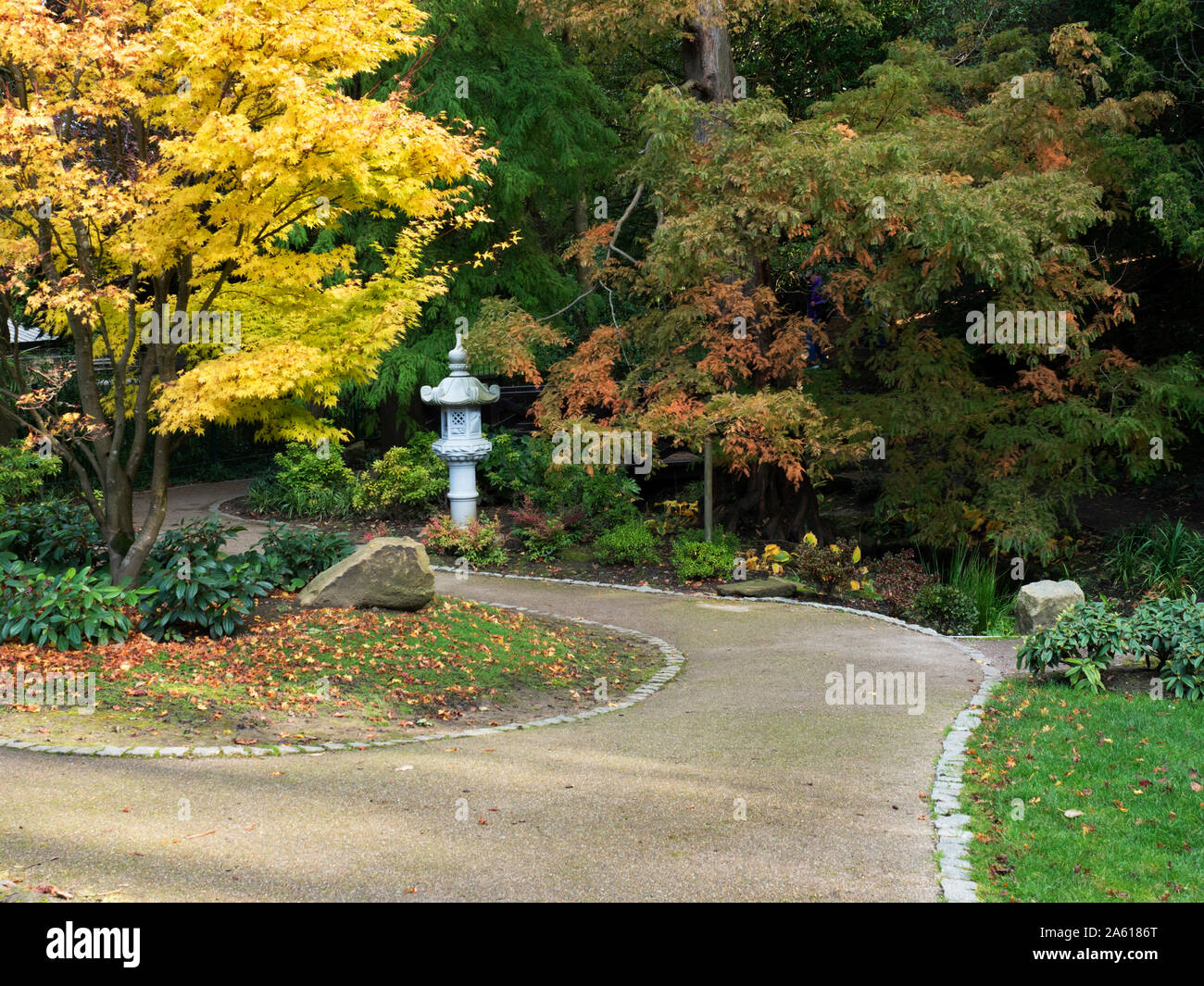 Il giardino giapponese in autunno a valle di giardini in Harrogate North Yorkshire, Inghilterra Foto Stock