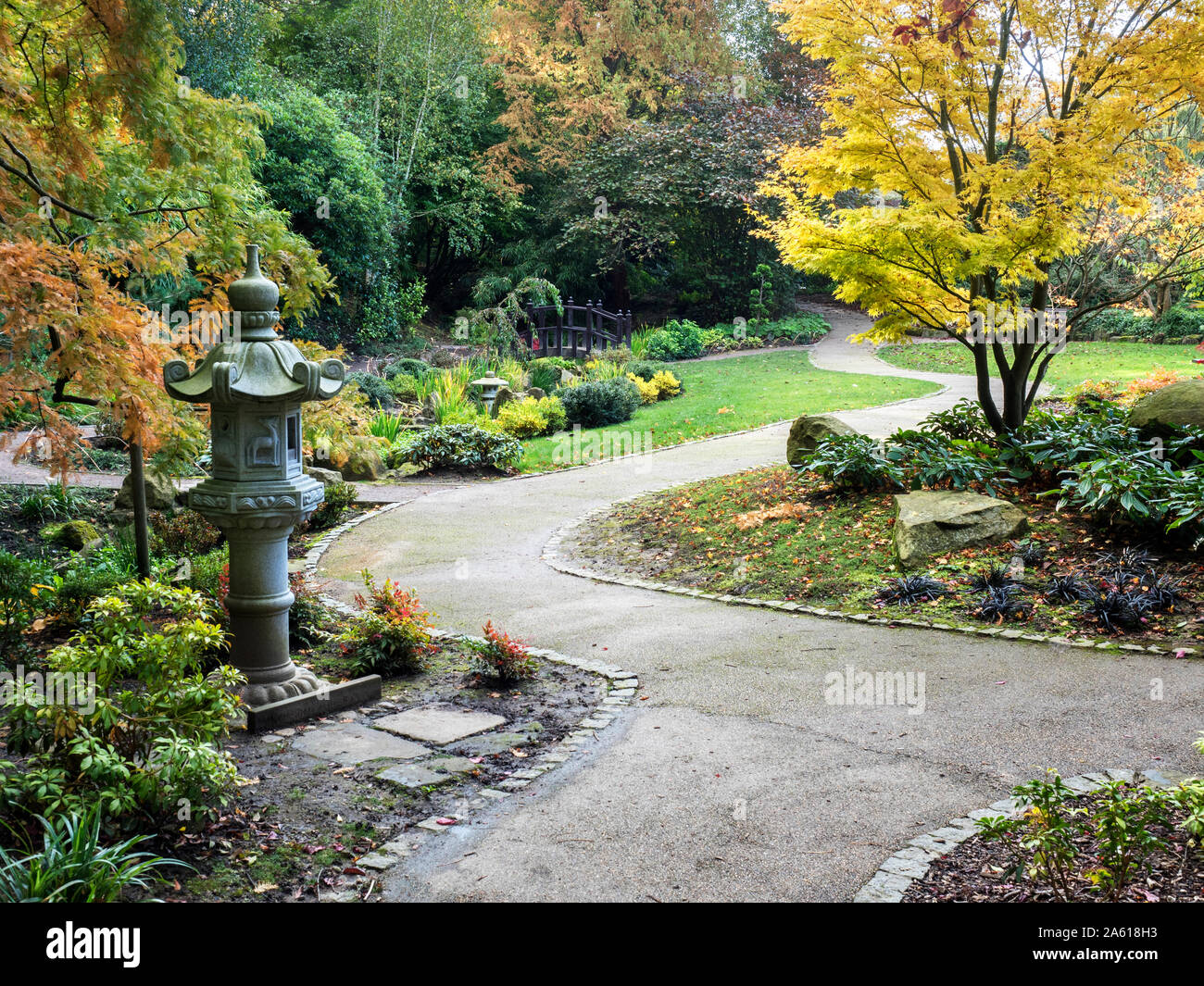 Il giardino giapponese in autunno a valle di giardini in Harrogate North Yorkshire, Inghilterra Foto Stock