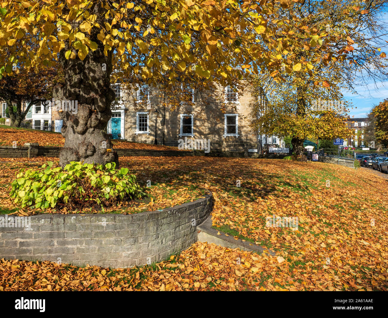 Promenade quadrato in autunno a Harrogate North Yorkshire, Inghilterra Foto Stock