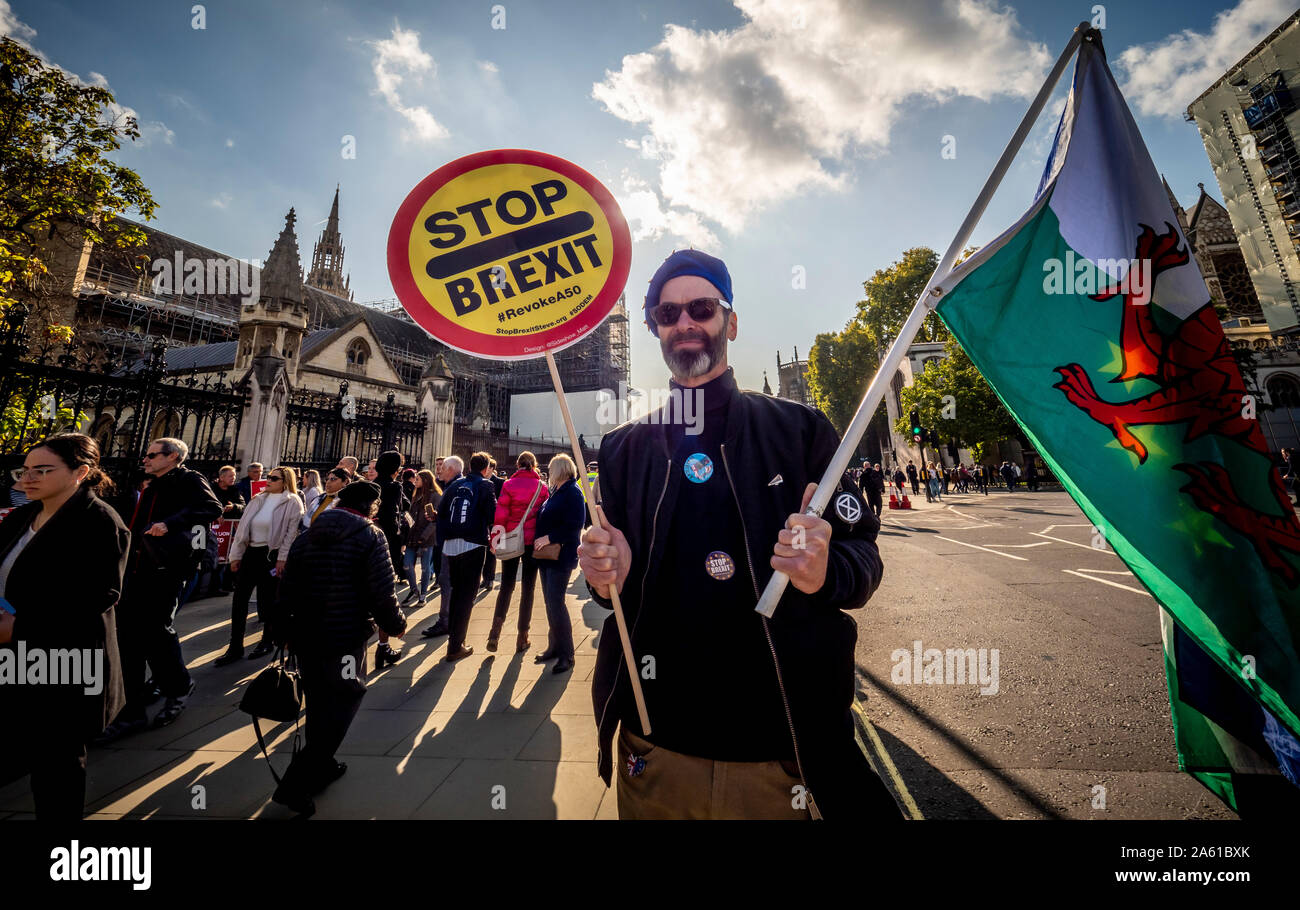 Anti-Brexit manifestanti fuori casa del Parlamento, Westminster, London, Regno Unito. Foto Stock
