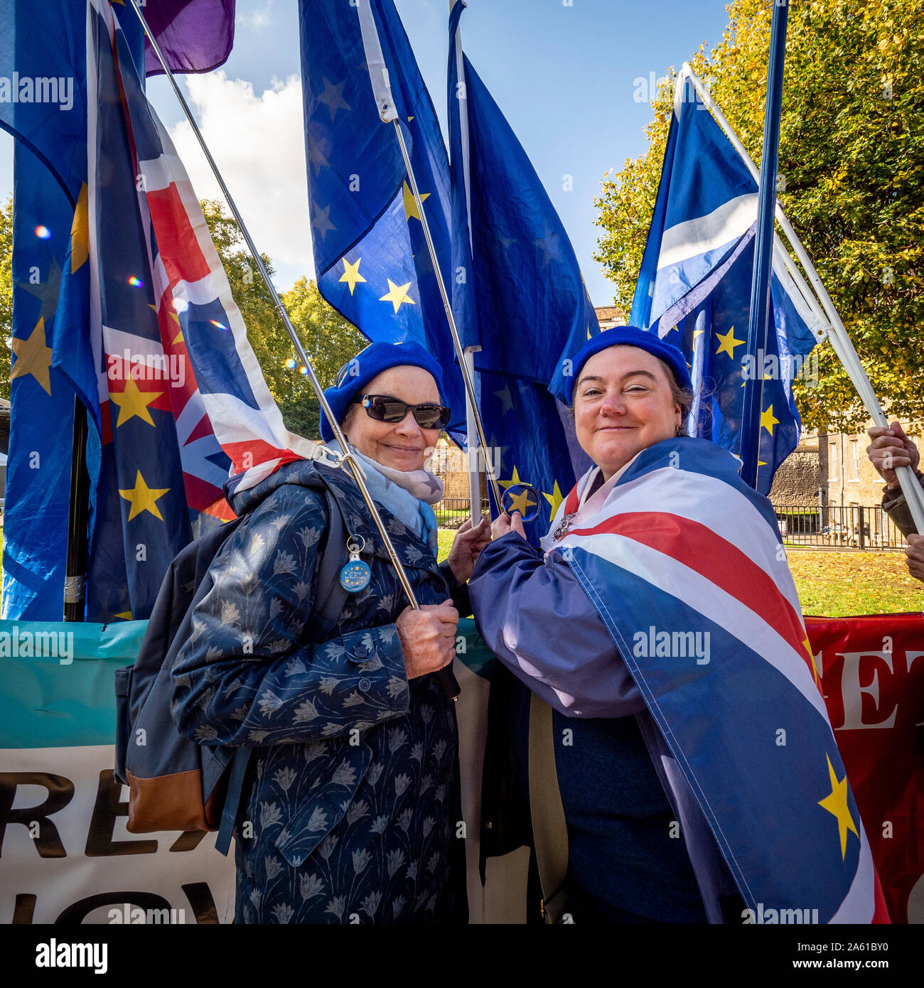 Anti-Brexit manifestanti fuori casa del Parlamento, Westminster, London, Regno Unito. Foto Stock