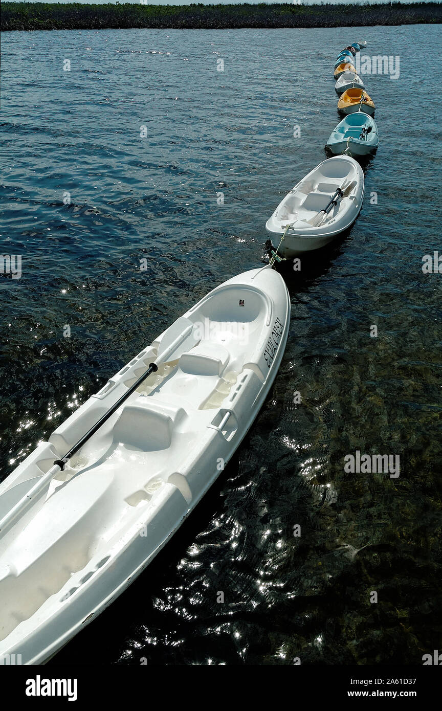 Cozumel, Quintana Roo, Messico - 25 Novembre 2006: Plastica kayak schierate per un giro turistico su mangrovie Foto Stock