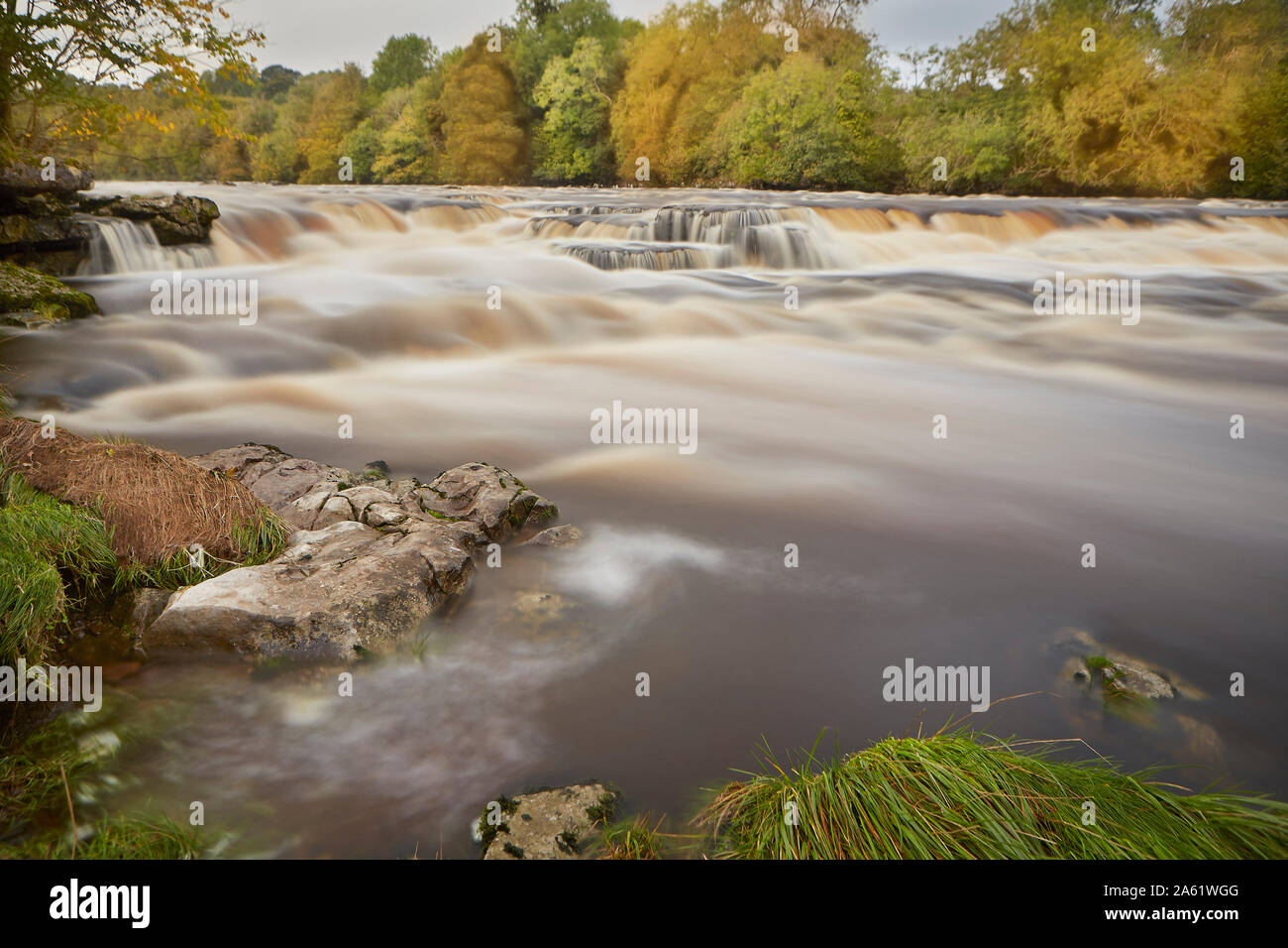 Aysgarth falls, regione inferiore, Fiume Ure nel Yorkshire Dales National Park, England, Regno Unito Foto Stock