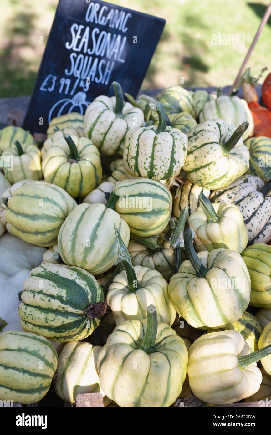 Gnocco dolce squash sul display a Daylesford Organic farm shop festival d'autunno. Daylesford, Cotswolds, Gloucestershire, Inghilterra Foto Stock