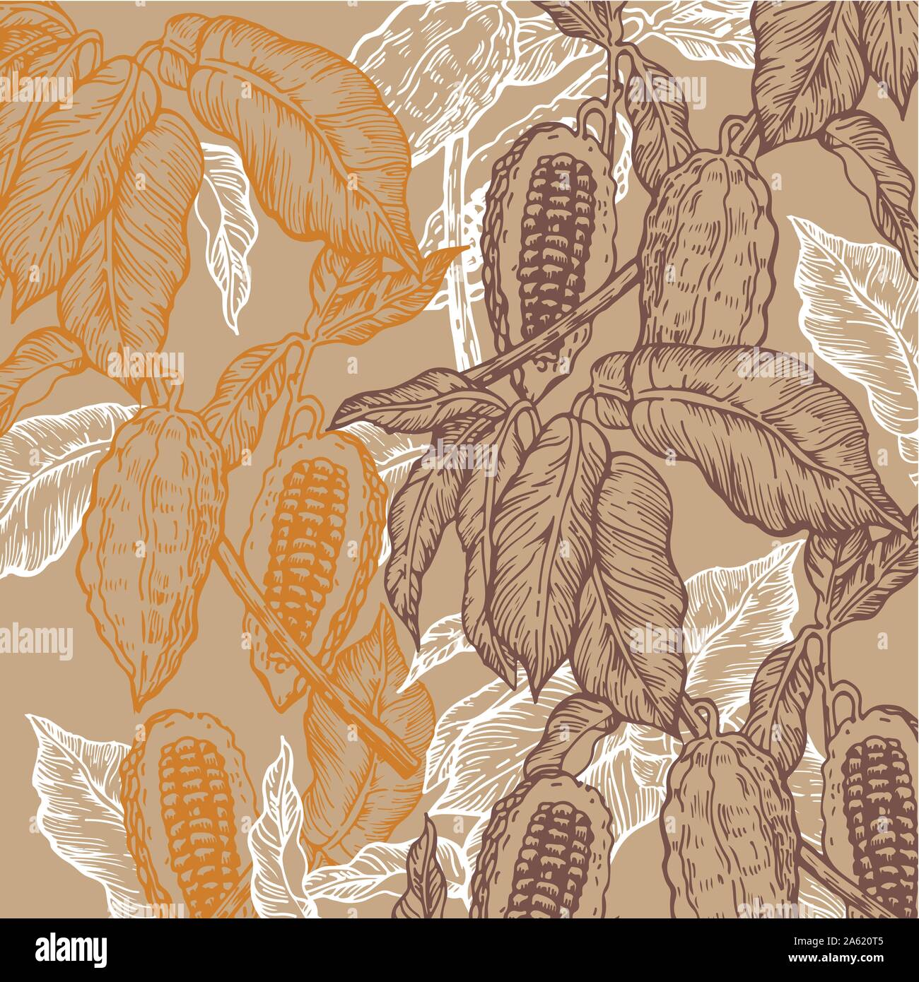 Le fave di cacao seamless pattern. Cocoa Tree illustrazione. Stile inciso illustrazione. Il cioccolato fave di cacao. Illustrazione Vettoriale Illustrazione Vettoriale