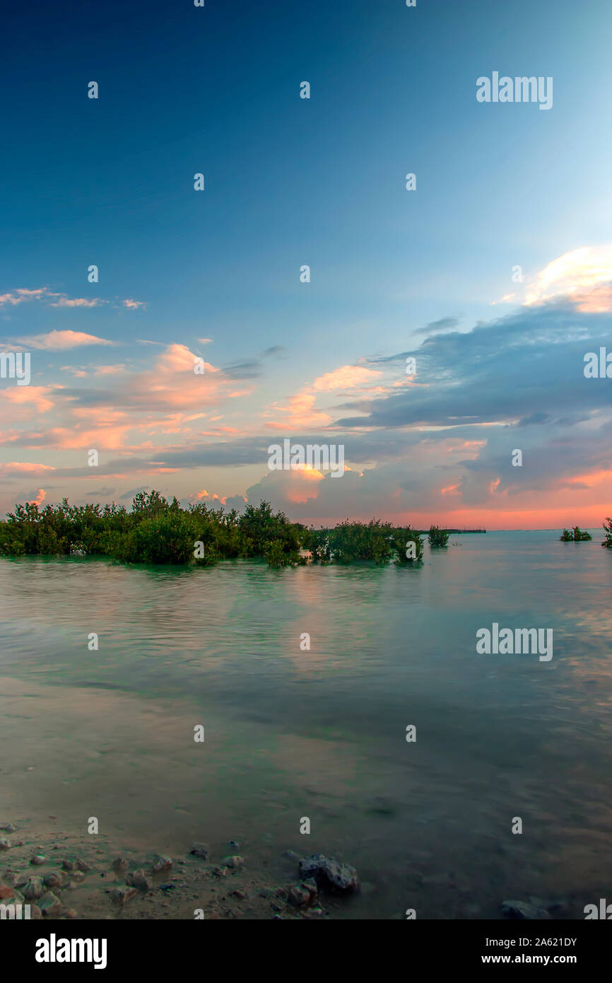 Sunrise al Wakra mangrove beach Foto Stock