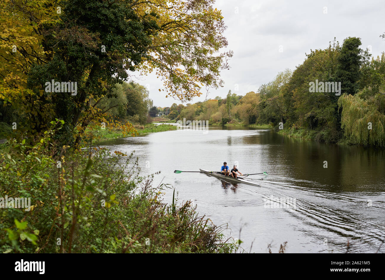 I canottieri sul fiume Liffey, Dublino, Irlanda. Foto Stock