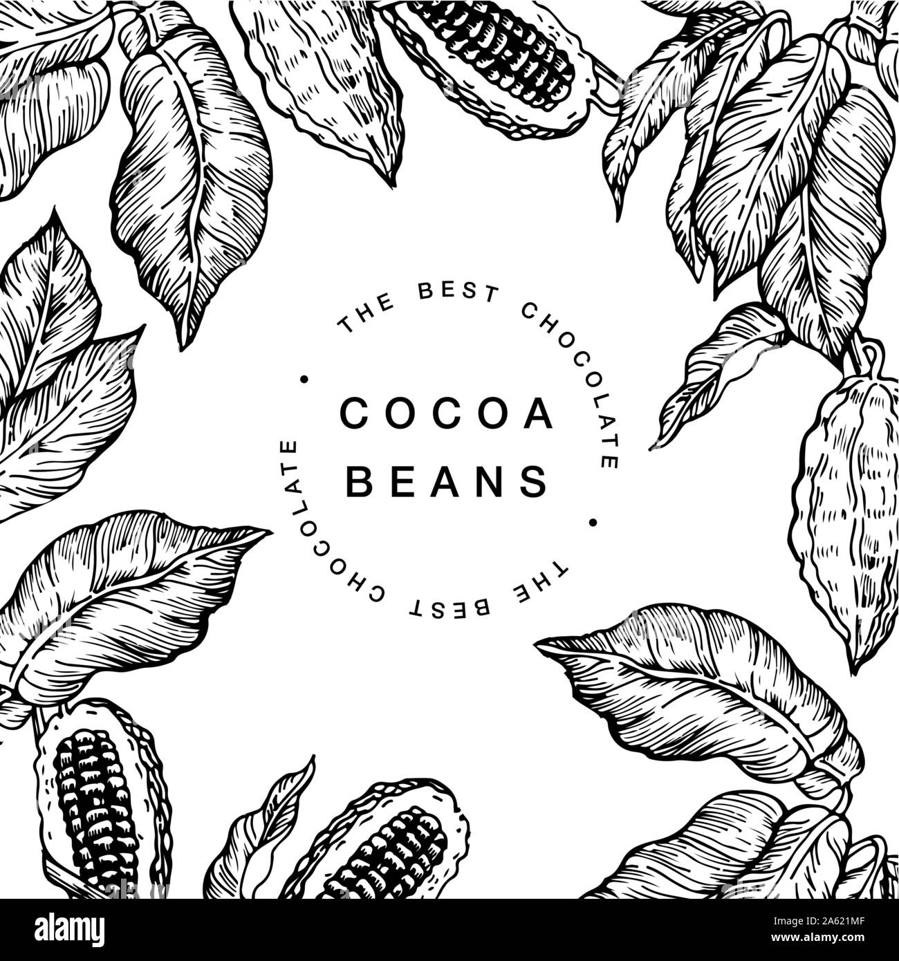 Fava di cacao tree Design modello. Stile inciso illustrazione vettoriale. Il cioccolato fave di cacao. Tipografia bollino o etichetta Illustrazione Vettoriale