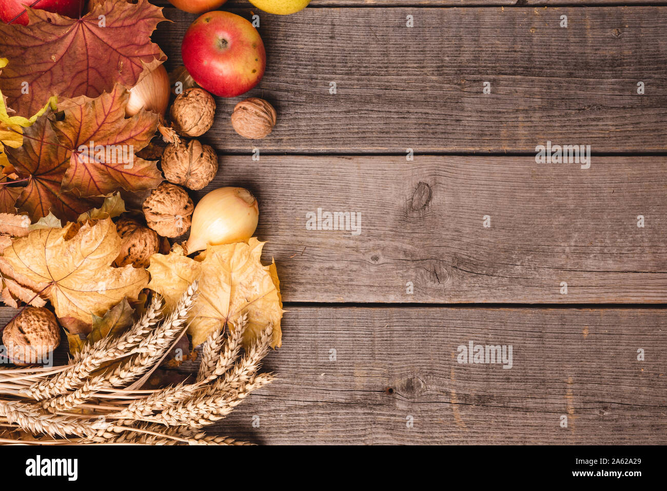 In autunno la disposizione dei raccolti stagionali con foglie colorate. Vista dall'alto di verdura e frutta come mele, zucca, noci, cipolle. Copia dello spazio. Foto Stock