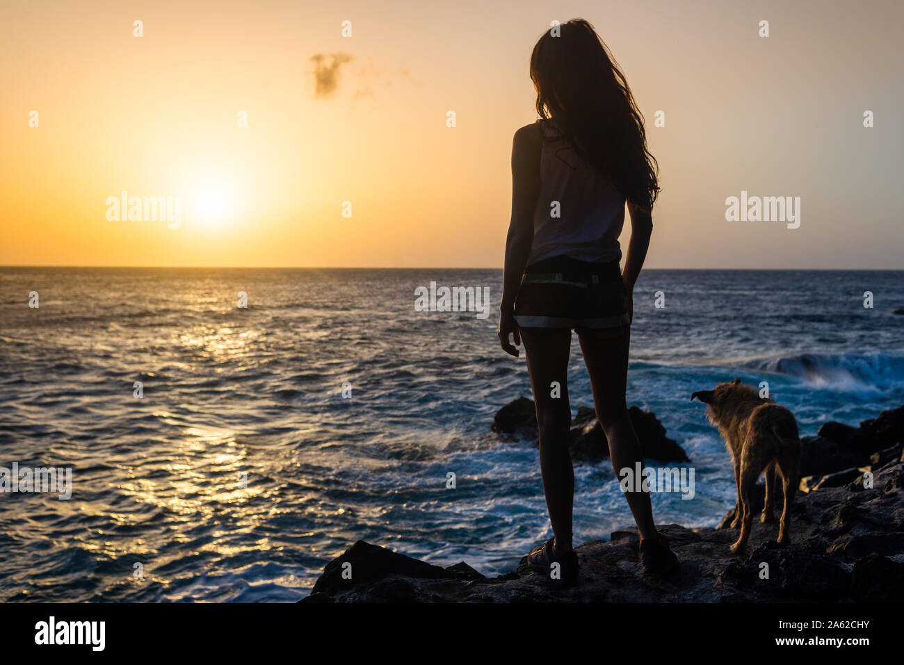 Ragazza con il suo cane al tramonto sul mare Foto Stock