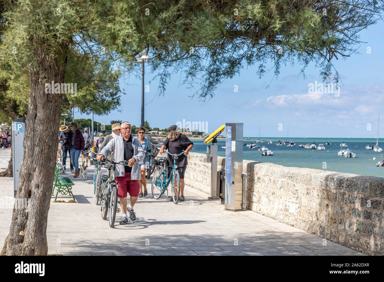 I ciclisti a piedi le loro biciclette lungo il fronte mare a La flotte, Ile de Re, Francia Foto Stock