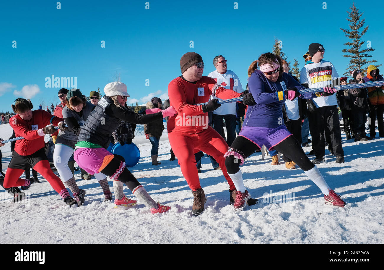 Yukon Sourdough Rendezvous festival invernale rimorchiatore della guerra i partecipanti a Whitehorse, Yukon. Foto Stock