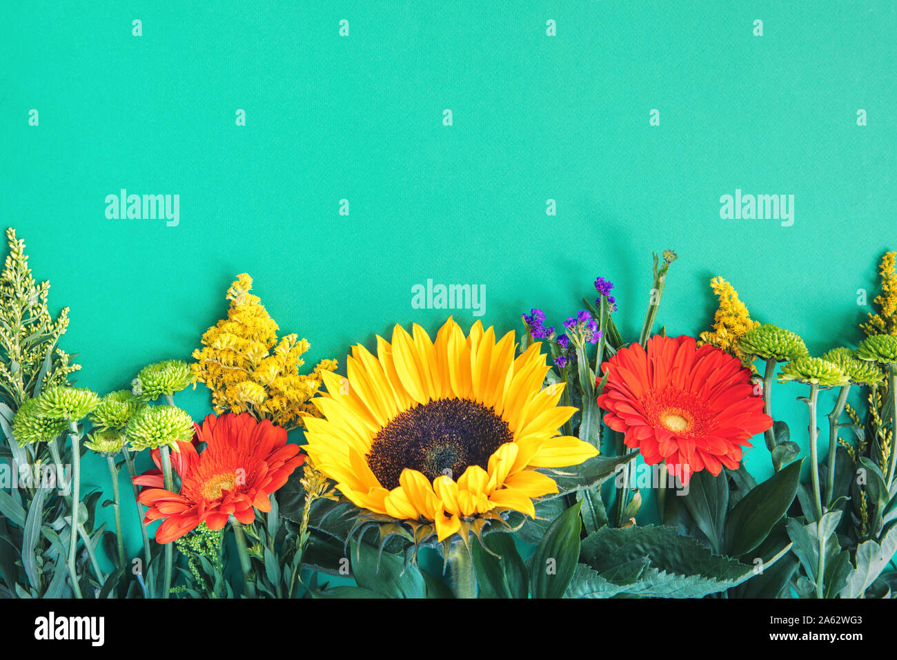 Confine di diverse luminoso fresco coloratissimi fiori estivi giacente sul trendy Sfondo menta. Flet stile di laici. Copia dello spazio. Foto Stock