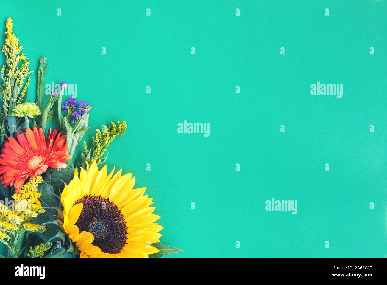 Angolo di confine differenti luminoso fresco coloratissimi fiori estivi giacente sul trendy Sfondo menta. Flet stile di laici. Copia dello spazio. Foto Stock