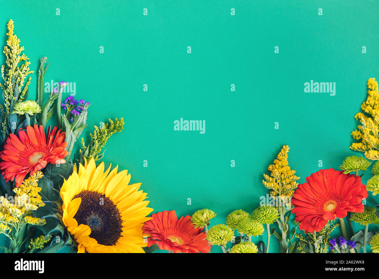 Confine di diverse luminoso fresco coloratissimi fiori estivi giacente sul trendy Sfondo menta. Flet stile di laici. Copia dello spazio. Foto Stock
