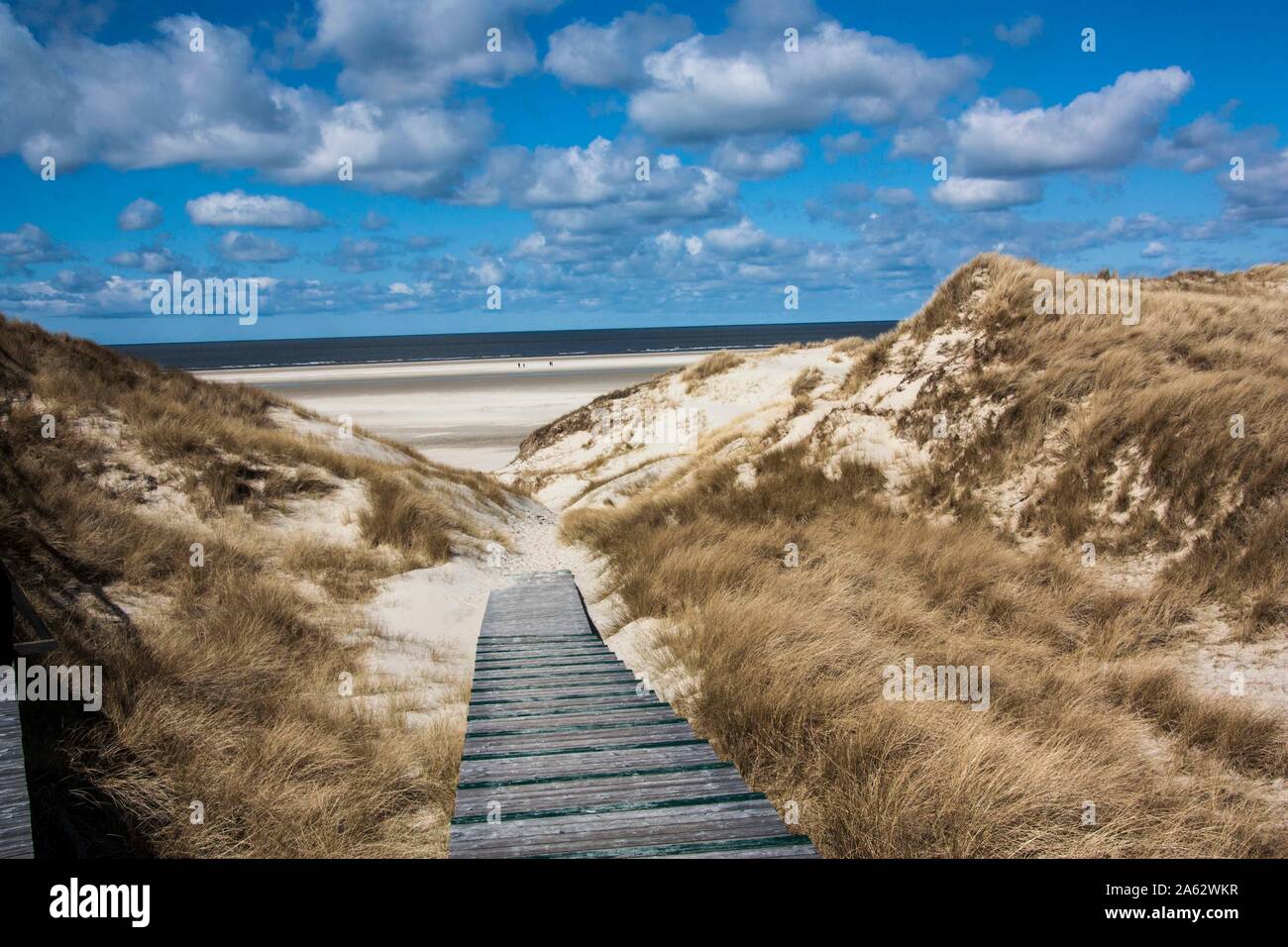 Amrum spiaggia più ampia, vista dalle dune e piccolo sentiero in legno a piedi isola tedesca, Nordfriesland, Frisia settentrionale, mare del Nord mare tedesco Foto Stock