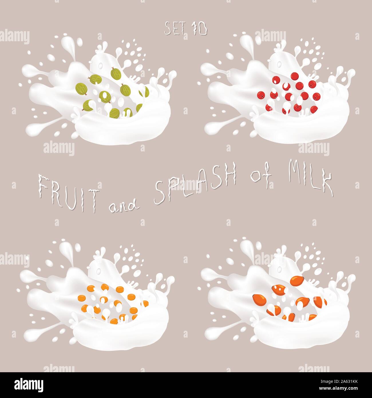 Icona vettore illustrazione logo per frutta ribes, mirtillo rosso, rosa canina, bacche di olivello spinoso, splash di goccia bianco latte. Modello di mirtillo palustre di gocciolare il latte. Mangiare Illustrazione Vettoriale