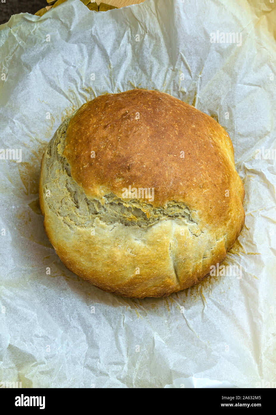 Un foglio di carta da forno con un appena cotto fatto in casa pane croccante pane. Foto Stock