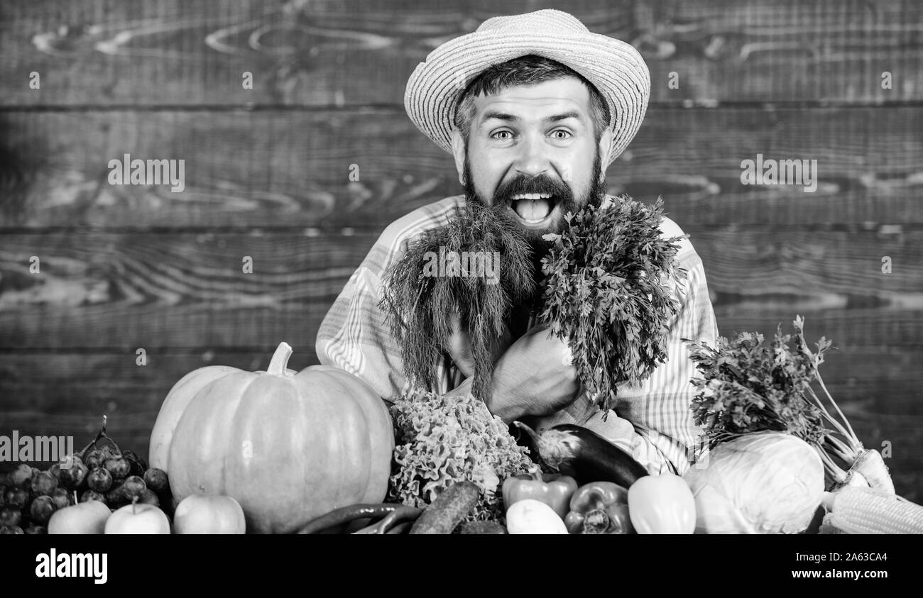 Barba salute. organici e alimenti naturali. happy Halloween. Vitamina stagionali cibo. Utile la frutta e la verdura. harvest festival. l uomo chef con ricco raccolto autunnale. barbuto agricoltore maturo. buona cura dei capelli. Foto Stock