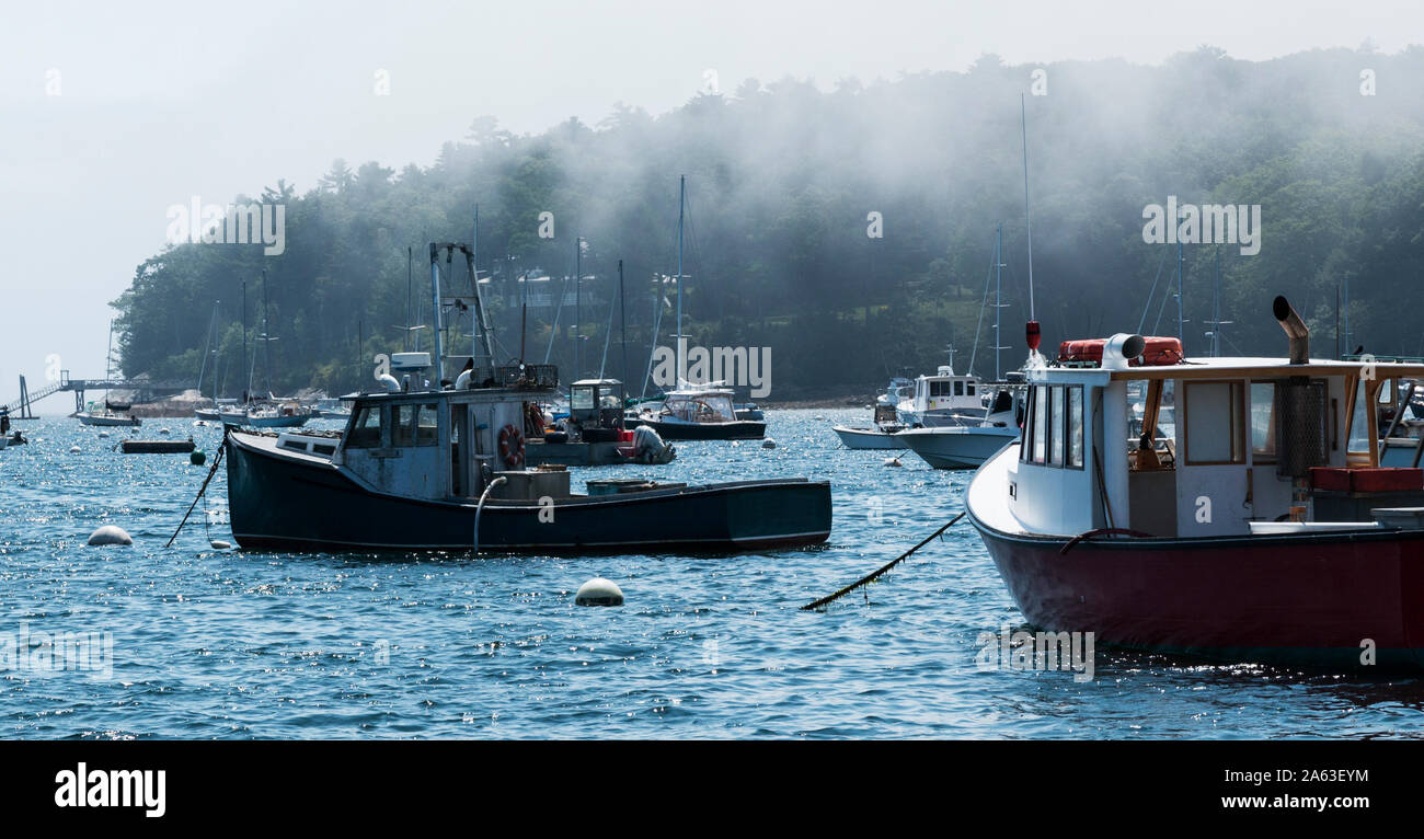 Barche da pesca ormeggiate in porto in una mattinata nebbiosa nel Maine. Foto Stock