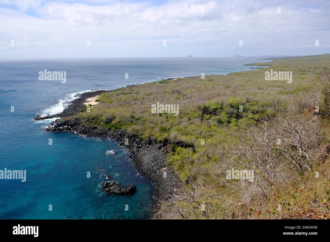 Meravigliose coste - Natura pura, Ecuador Isole Galapagos Isola di Santa Cruz Foto Stock