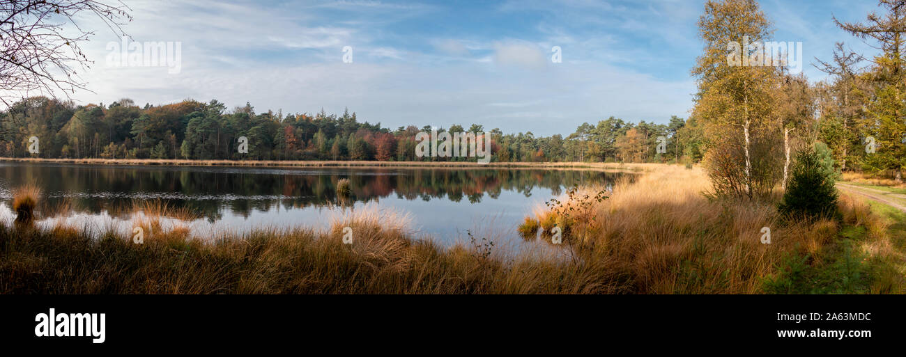 Bellissima vista panoramica del lago di torbiera nei Paesi Bassi, Parco Nazionale Dwingelderveld Foto Stock