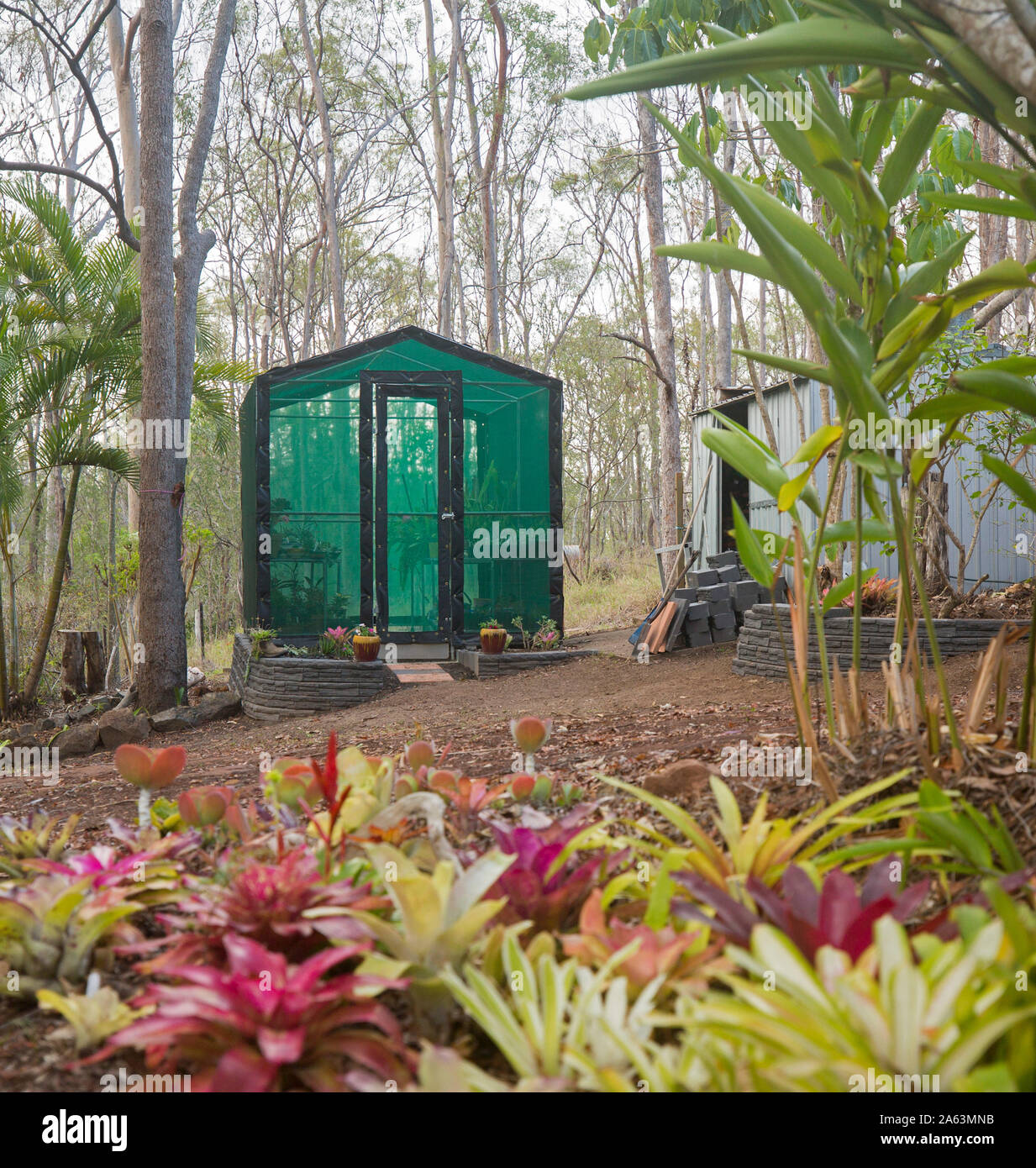 Home garden shadehouse con mattoni refilato letti orto, sentiero pavimentato e massa bromeliacee piantate in primo piano Foto Stock