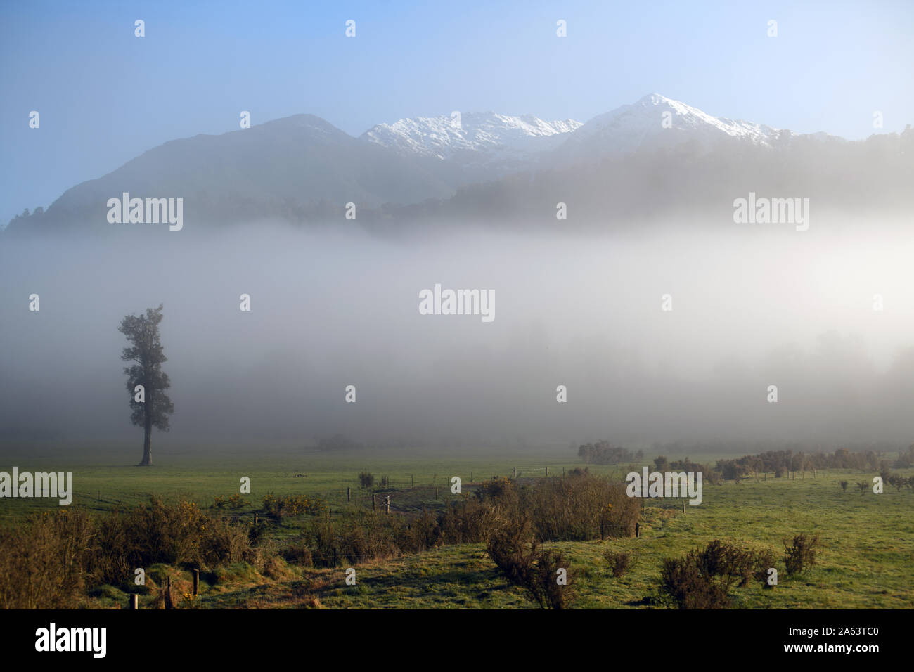 Una leggera nebulizzazione rotoli attraverso un West Coast farm nelle prime ore del mattino Foto Stock