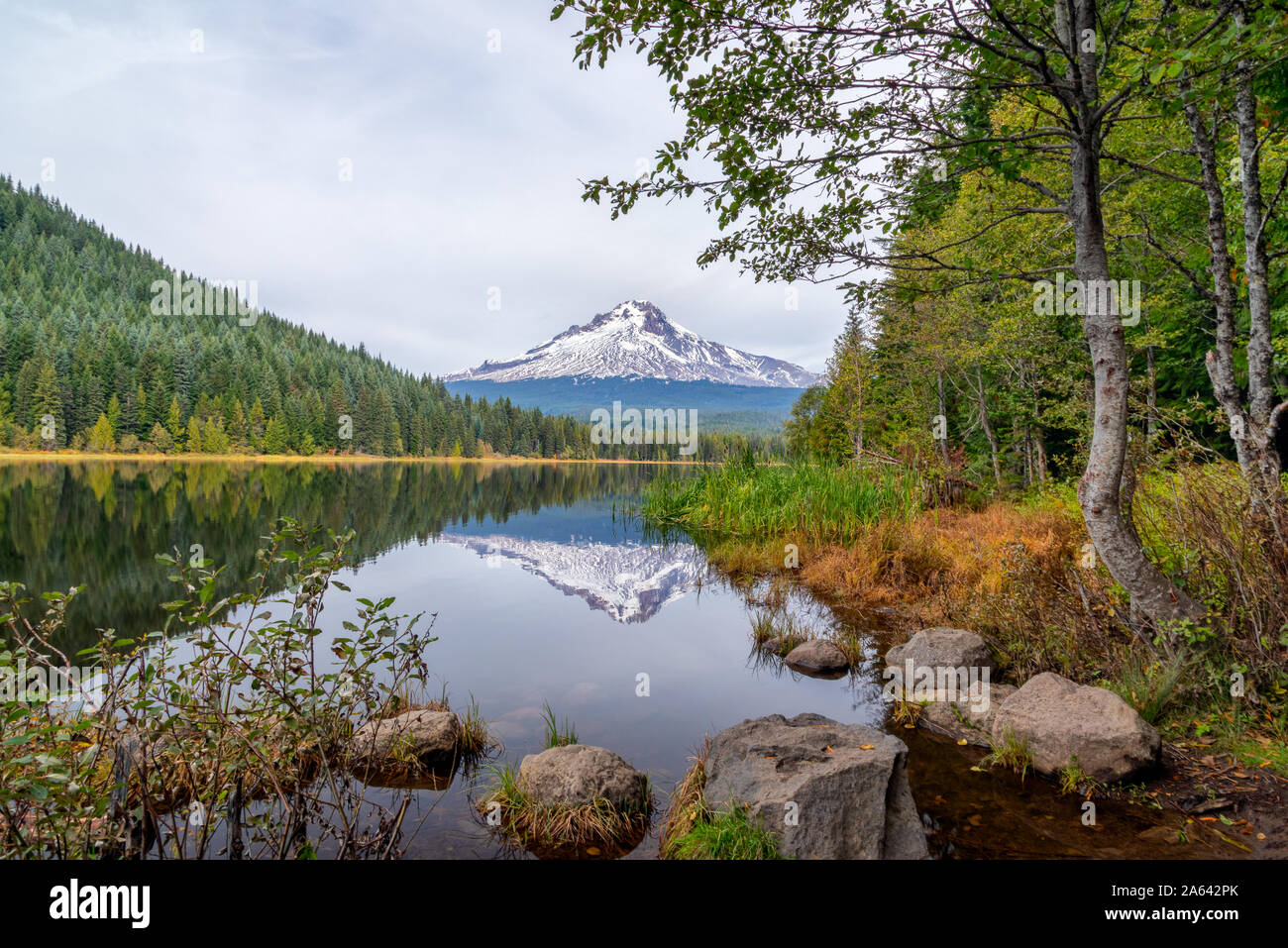 Mt. Il cofano riflettendo in Trillium Lago con rocce e alberi in un idilliaco paesaggio in Oregon, USA Foto Stock
