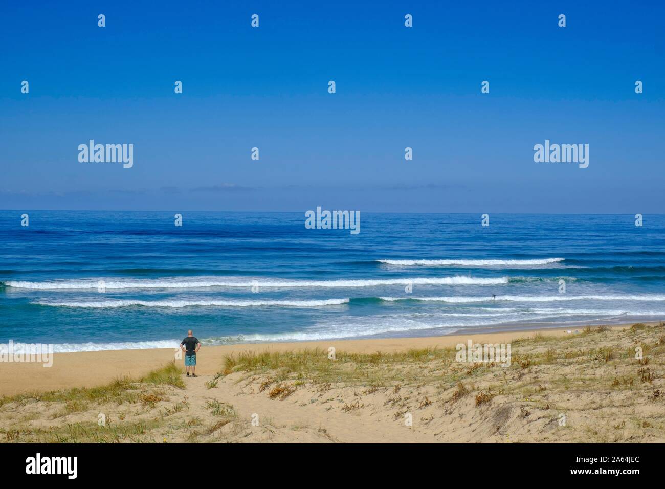 Spiaggia e costa a Plage des Chenes Lieges, dipartimento delle Landes, Costa Atlantica, Regione Nouvelle-Aquitaine, Francia Foto Stock