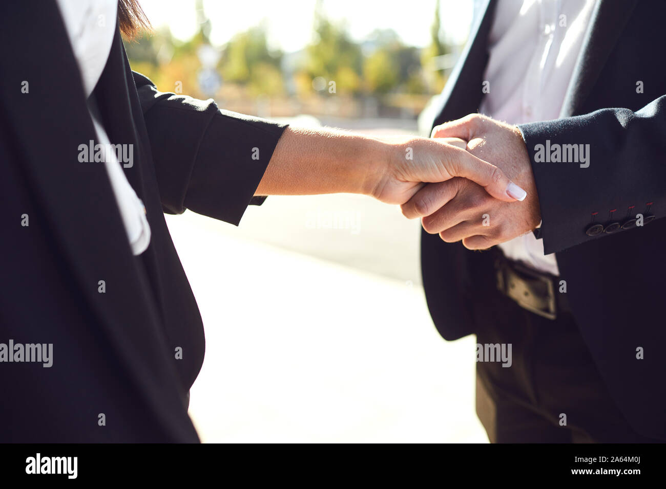 Business di handshake. Imprenditore e business donna fanno strette di mano mentre in piedi all'aperto Foto Stock