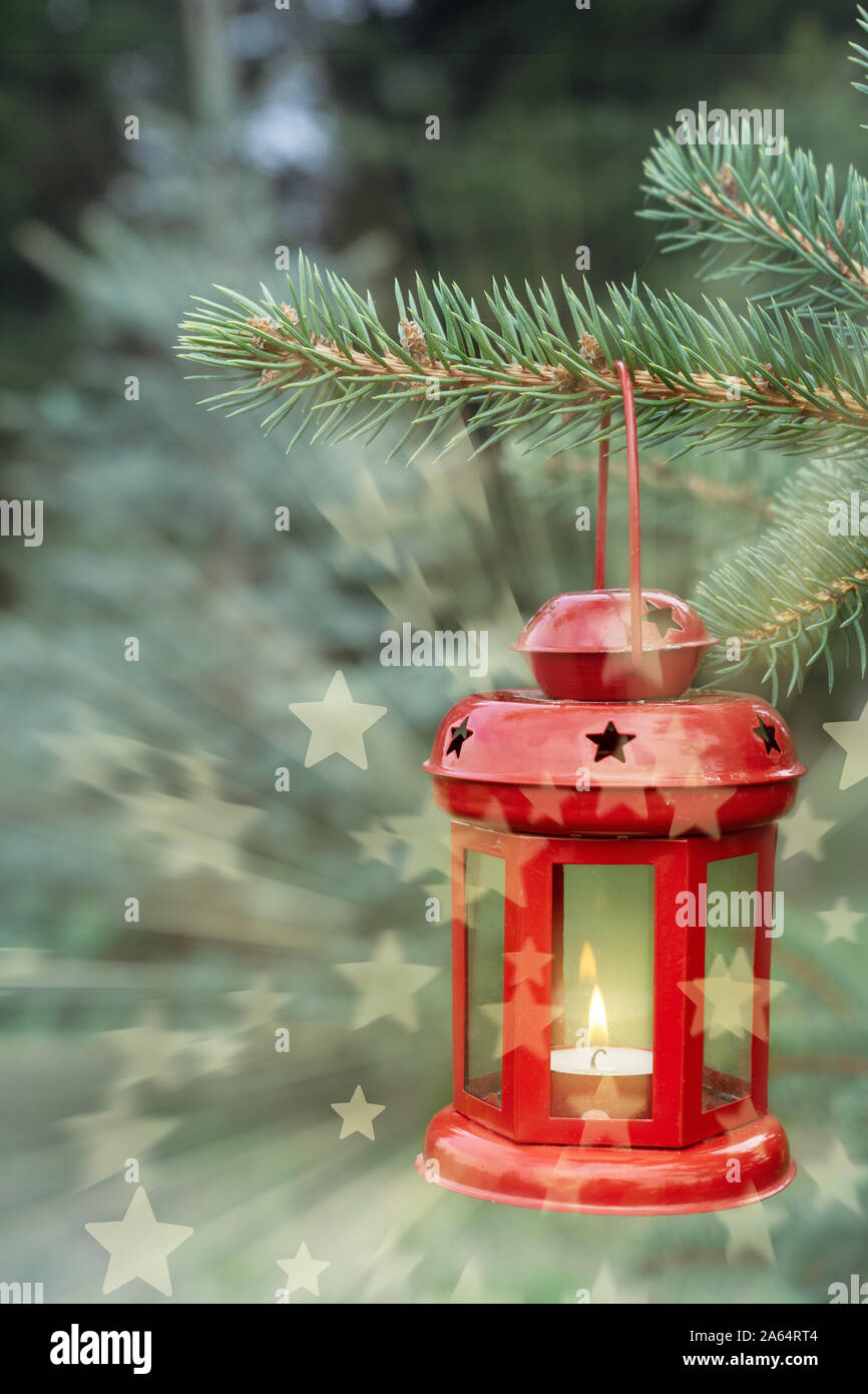 Rosso lanterna di natale appeso a un albero di pino in pineta umore natale luce astratta und stelle Foto Stock