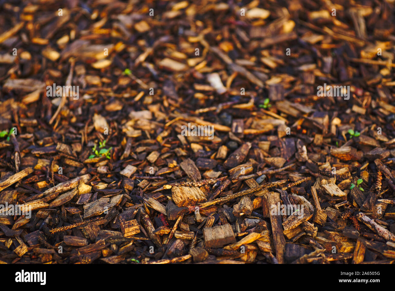 Chiudere l immagine di sfondo che mostra un legno percorso coperto nel centro di Reykjavik, umido in autunno Foto Stock