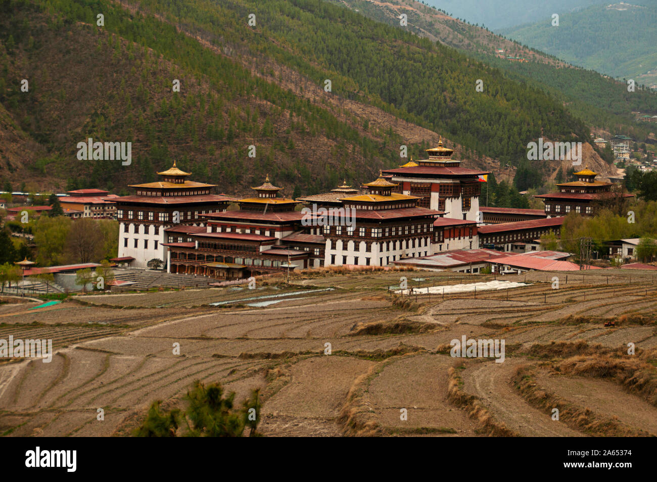 Tashichho Dzong, monastero buddista a Thimpu, Bhutan Foto Stock