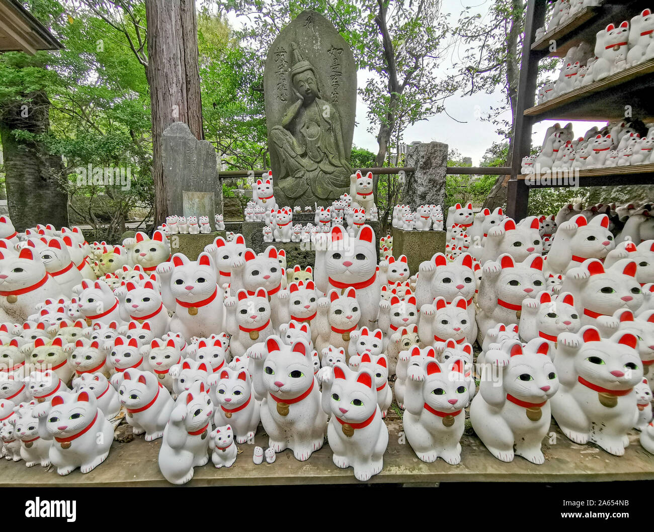 GOTOKU-JI: Tokyo' s 'fortunato CAT' tempio Foto Stock