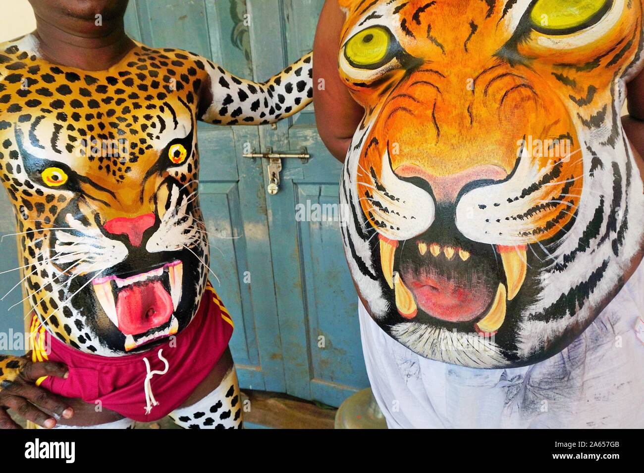 Dipinto di corpi umani per Pulikali Tiger danza, Onam festival, Kerala, India, Asia Foto Stock