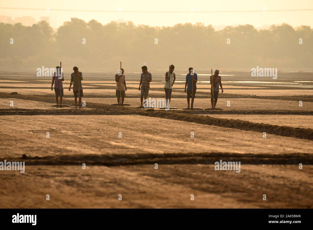 Uomini al lavoro nelle saline, Wadala, Mumbai, Maharashtra, India, Asia Foto Stock