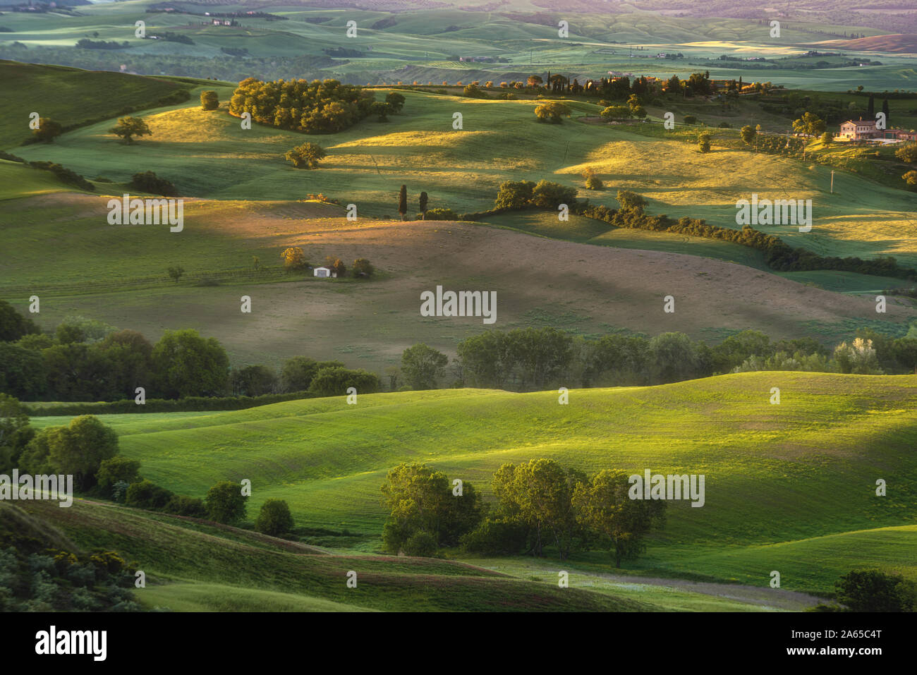 Luce di primavera dipinto di campi in Toscana. Foto Stock