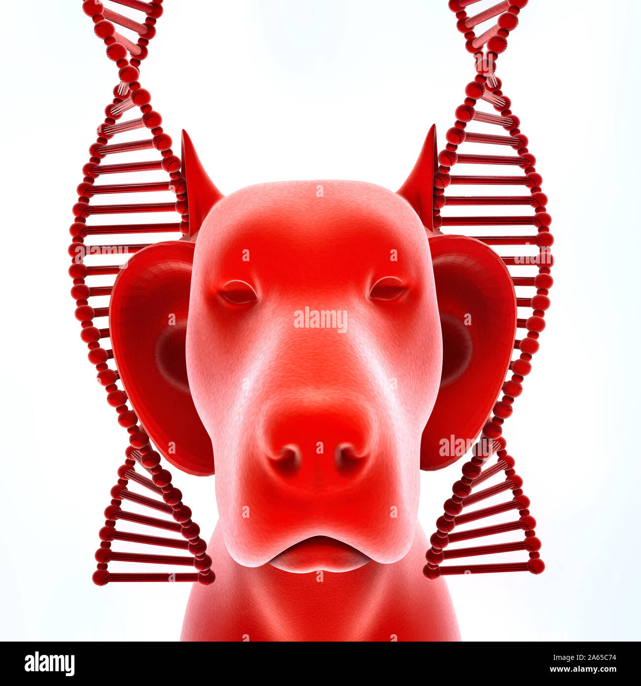 Trattamento genetico di veterinario il rendering 3D Foto Stock