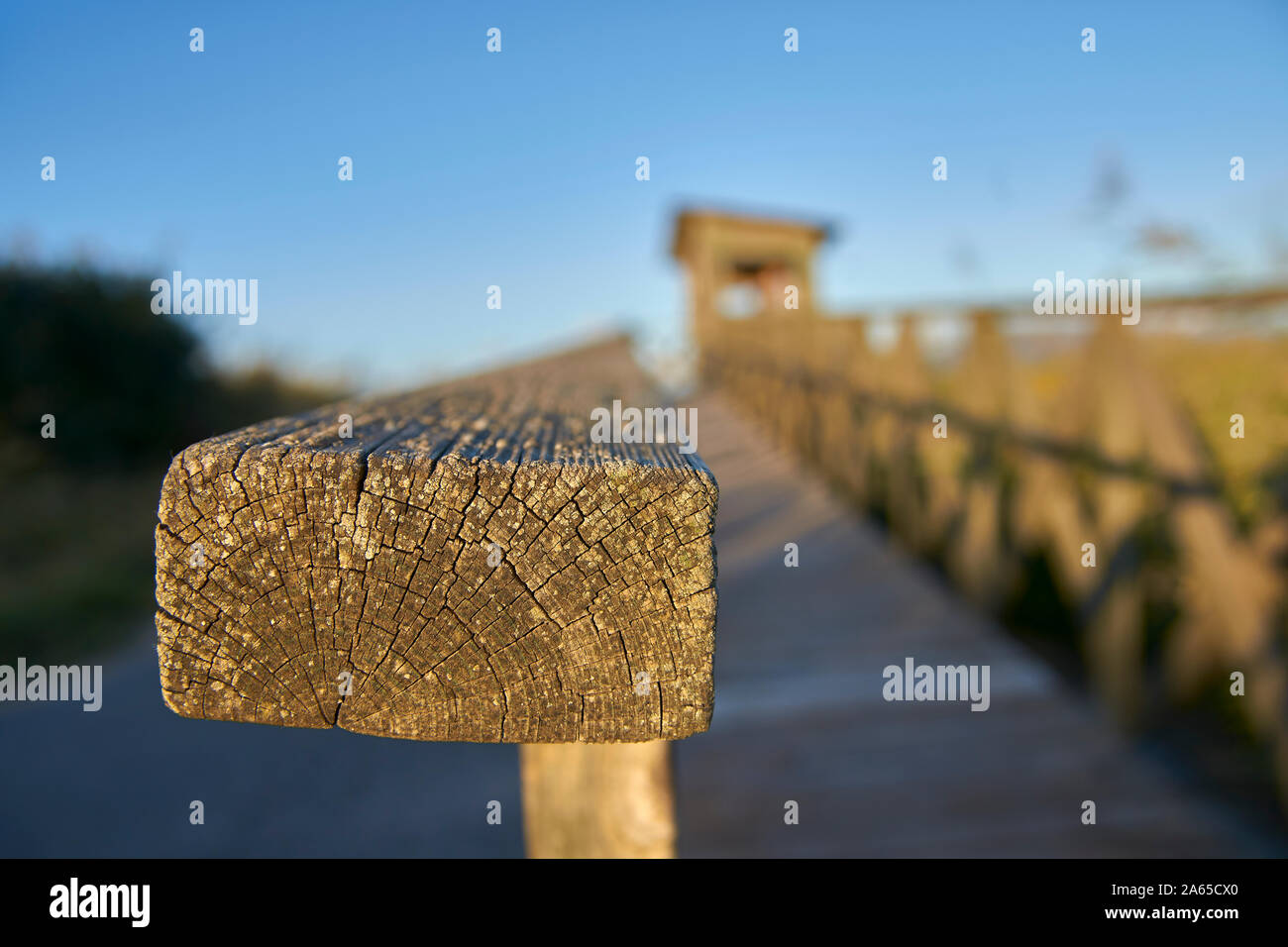 Dettagli in legno dell'osservatorio ornitologico con una passerella per i disabili nella Laguna de Fuente de Piedra in Málaga. Spagna. Foto Stock