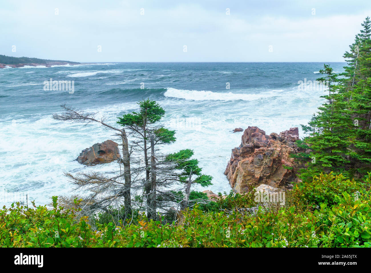 Paesaggio (vicino al ruscello nero Cove), a Cape Breton Highlands National Park, Nova Scotia, Canada Foto Stock