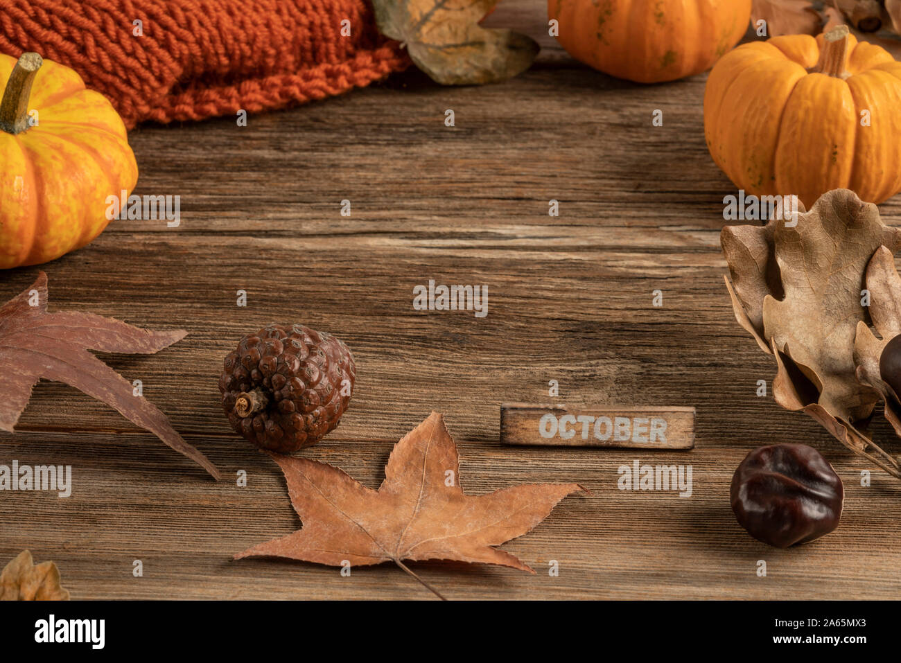 Modello per ottobre con foglie essiccate e zucche su sfondo di legno Foto Stock