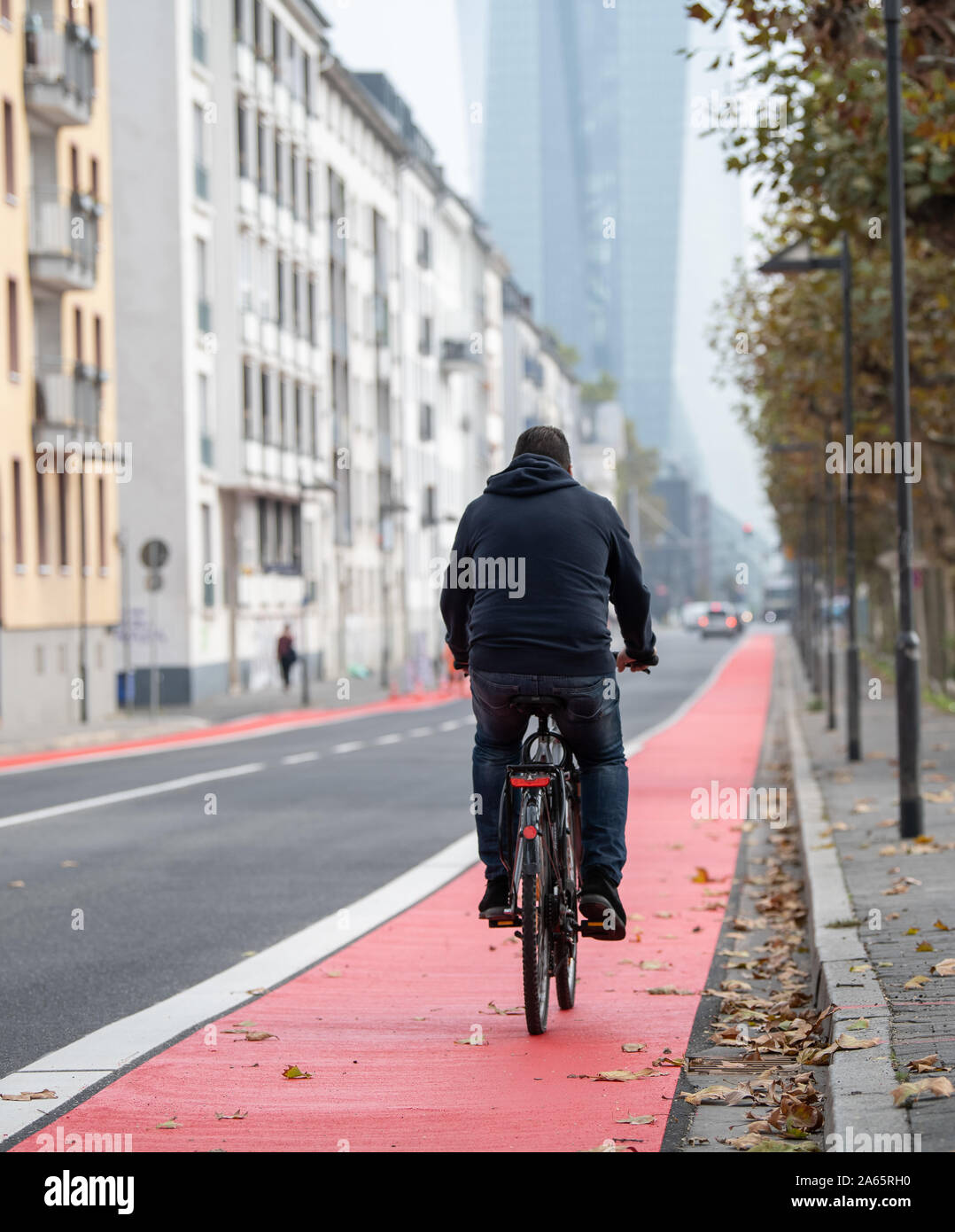 24 ottobre 2019, Assia, Frankfurt/Main: un uomo che cavalca una bicicletta su un rosso contrassegnato con pista ciclabile lungo la strada 'Schöne Aussicht'. Il consiglio della città ha deciso di rendere Francoforte una bicicletta città. Foto: Sila Stein/dpa Foto Stock