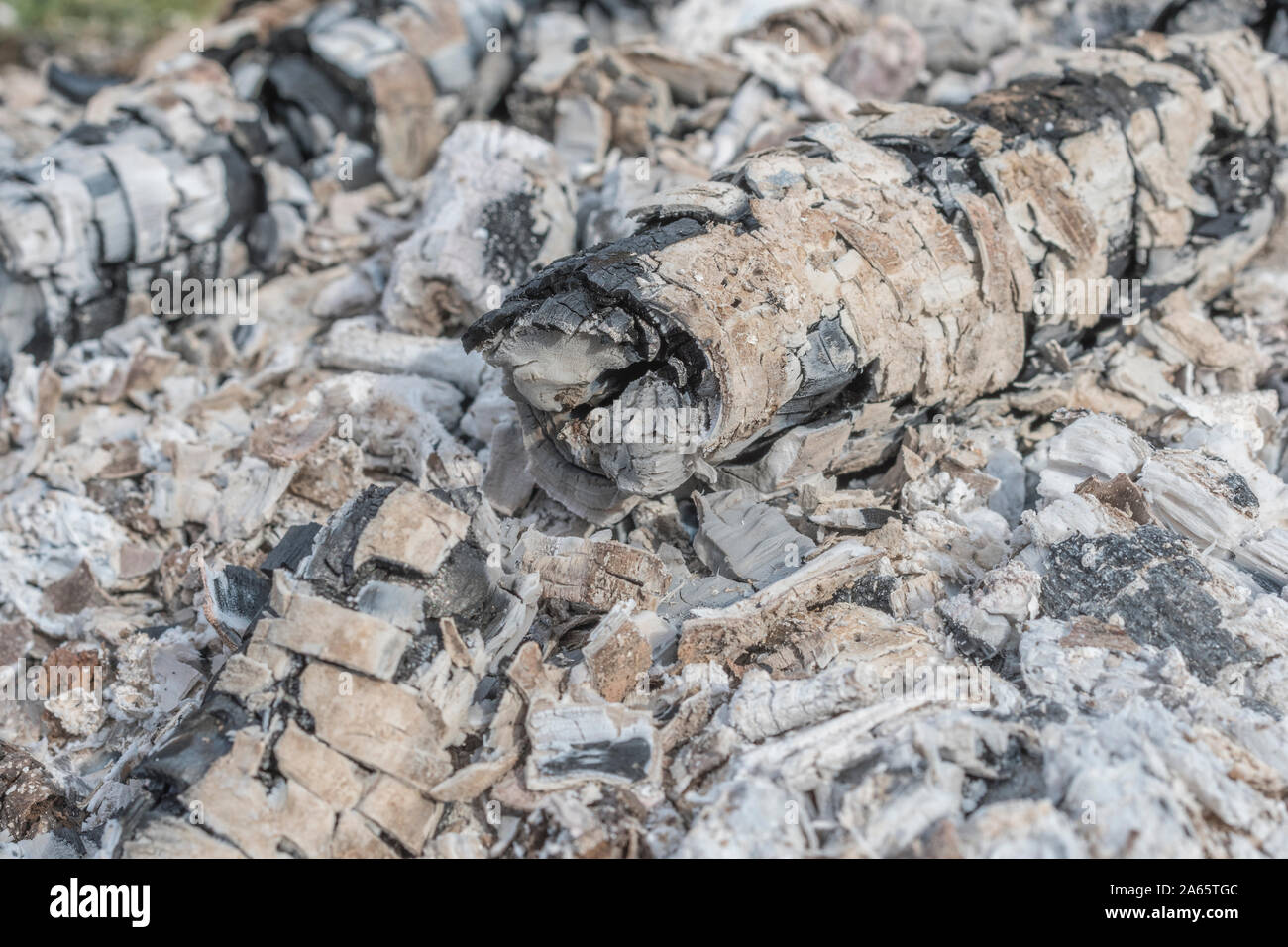 Ceneri e carbonizzati da legno bruciato legno fuoco di campo / survival fire / emergenza incendio. Fire texture, texture di sfondo ceneri da incendio, vendita. Foto Stock