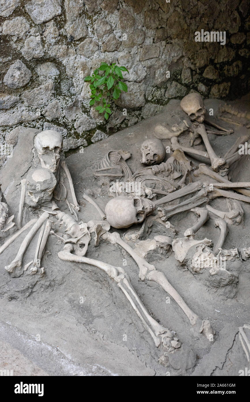 Ercolano. L'Italia. Sito archeologico di Ercolano. Calchi di scheletri si trovano in barca case sul litorale antica. Foto Stock