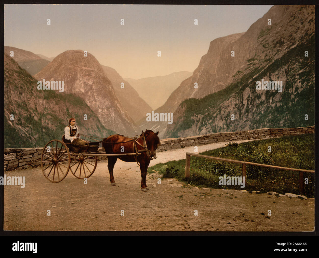 Carrello norvegese, Hardanger fiordo, Norvegia Foto Stock