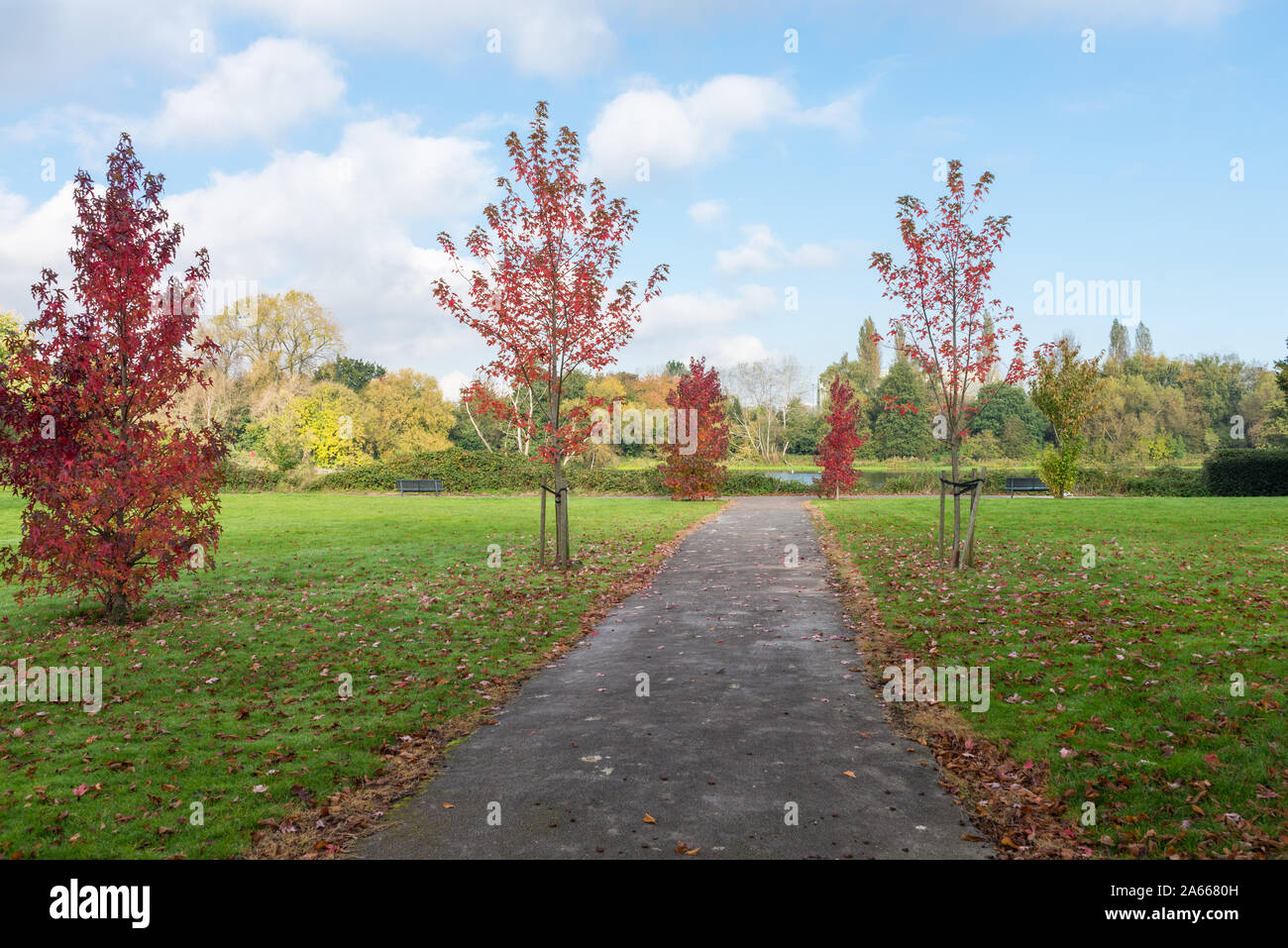 Colori autunnali in Perry Park, Perry Barr, Birmingham, Regno Unito Foto Stock