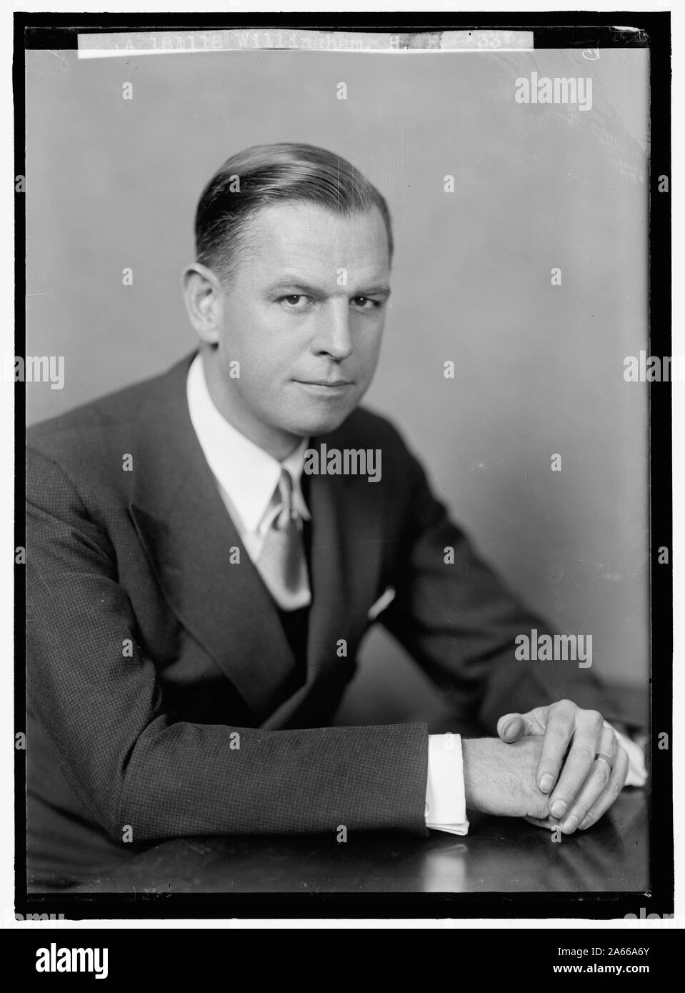 WILLINGHAM, S.E. Ritratto Foto Stock WILLINGHAM, S.E. Ritratto Foto Stock