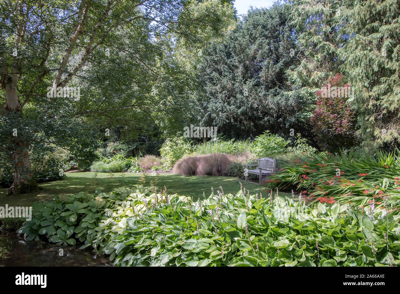 Bella e lussureggiante fogliame verde del tipico paese inglese giardino d'estate. Banco di posti a sedere su un segreto appartato giardino cottage prato. Idilliaco e tranquillo Foto Stock